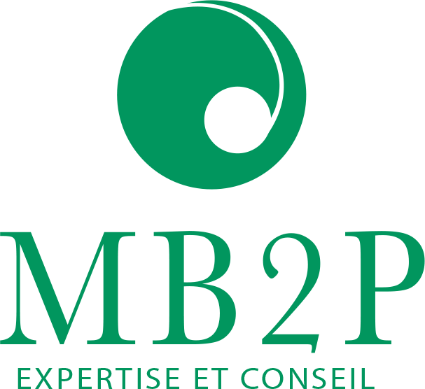 Expert Comptable 91